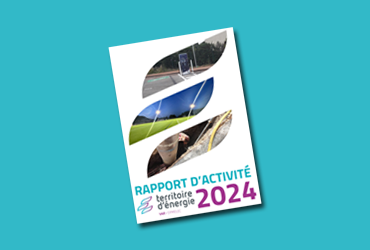TE83 : Rapport d'Activité 2024